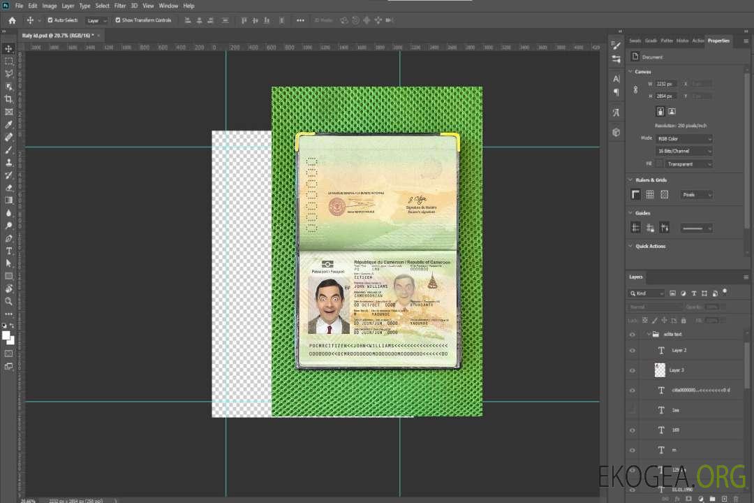 Look photo du passeport camerounais template Look photo du passeport camerounais template